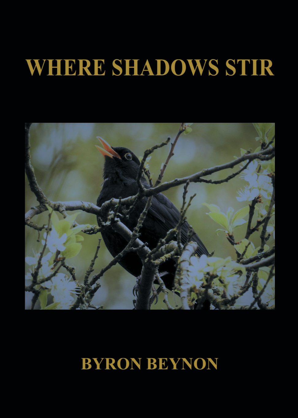 Where Shadows Stir by Welsh poet Byron Beynon
